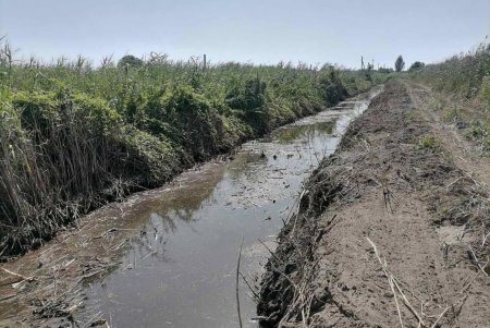 Фахівці КП «Міські дороги» під час дощів додатково очищують зливовідвідну систему Одеси (фото)