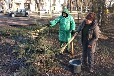 КП «Міськзелентрест» проводить кампанію із захисту молодих ялин від незаконної вирубки (фото)