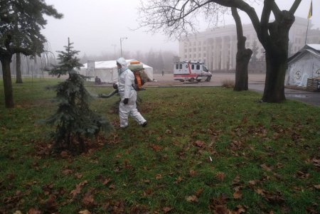 КП «Міськзелентрест» проводить кампанію із захисту молодих ялин від незаконної вирубки (фото)