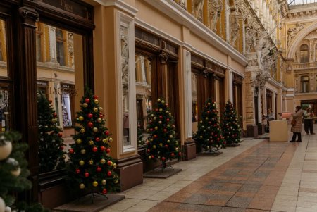 Атмосфера передноворічної Одеси (фоторепортаж)