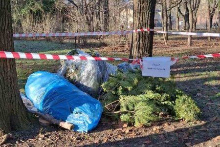 Одесити здають новорічні ялинки на переробку (фото)