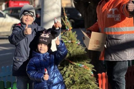 Одесити здають новорічні ялинки на переробку (фото)