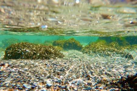 В Одесі водолази обстежують морське дно на пляжах міста (фото, відео)