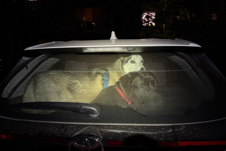 Одеса зазнала масованої атаки ударними безпілотниками. Є постраждалі (фото, відео)