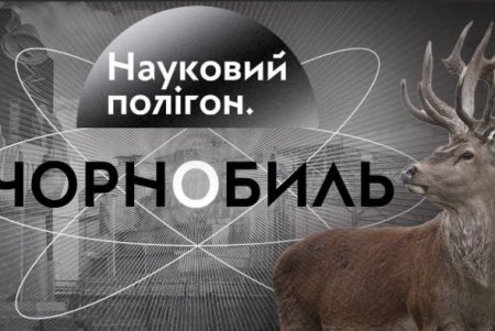 В одеських школах вшанували пам’ять жертв Чорнобильської трагедії (фото) В одеських школах вшанували пам’ять жертв Чорнобильської трагедії (фото)
