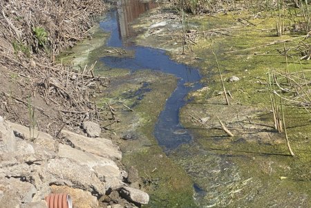 В Одесі посилюють контроль за екологічним станом Чорноморської балки (фото)