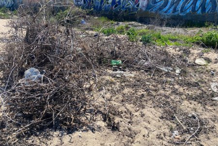 В Одесі посилюють контроль за екологічним станом Чорноморської балки (фото)