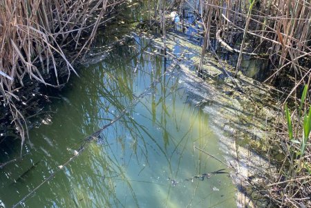 В Одесі посилюють контроль за екологічним станом Чорноморської балки (фото)