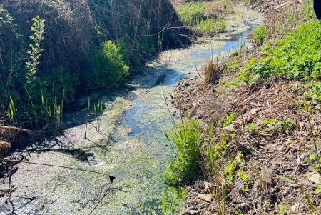 В Одесі посилюють контроль за екологічним станом Чорноморської балки (фото)