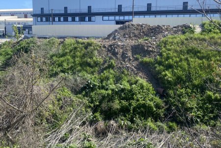 В Одесі посилюють контроль за екологічним станом Чорноморської балки (фото)