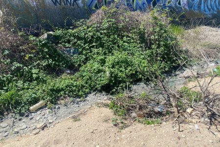 В Одесі посилюють контроль за екологічним станом Чорноморської балки (фото)