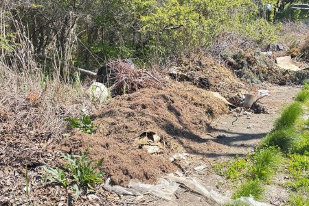 В Одесі посилюють контроль за екологічним станом Чорноморської балки (фото)