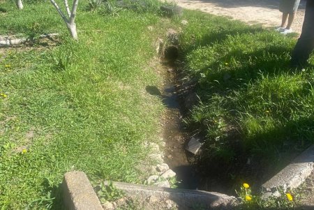 В Одесі посилюють контроль за екологічним станом Чорноморської балки (фото)