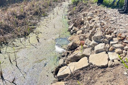 В Одесі посилюють контроль за екологічним станом Чорноморської балки (фото)