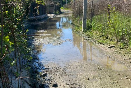 В Одесі посилюють контроль за екологічним станом Чорноморської балки (фото)