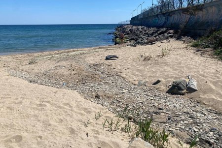 В Одесі посилюють контроль за екологічним станом Чорноморської балки (фото)