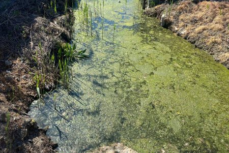 В Одесі посилюють контроль за екологічним станом Чорноморської балки (фото)