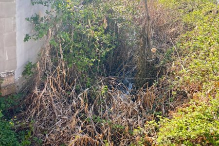 В Одесі посилюють контроль за екологічним станом Чорноморської балки (фото)