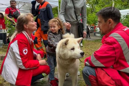 На місці ліквідації наслідків ворожої атаки працює міський штаб (фото)