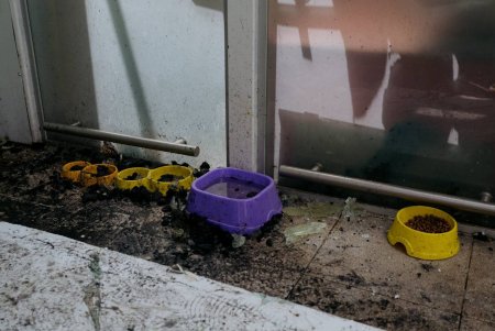  Внаслідок атаки ушкоджено понад 50 будинків, розбито близько 900 вікон: допомоги потребують мешканці 400 квартир (фото, відео)