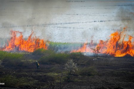 Одеситам нагадують про відповідальність за спалювання листя та трави Одеситам нагадують про відповідальність за спалювання листя та трави