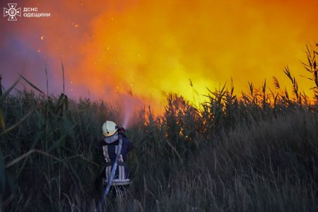 Одеситам нагадують про відповідальність за спалювання листя та трави Одеситам нагадують про відповідальність за спалювання листя та трави