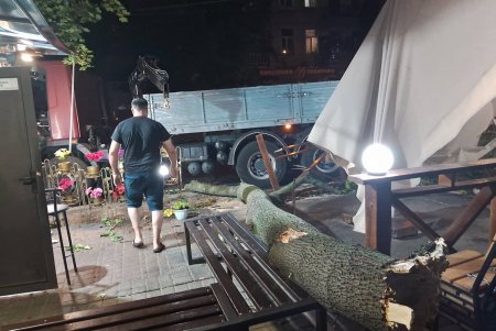 Комунальники ліквідовують наслідки негоди в Одесі: поривчастим вітром повалені дерева (фото)