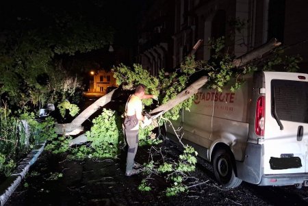 Комунальники ліквідовують наслідки негоди в Одесі: поривчастим вітром повалені дерева (фото)