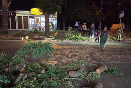 Комунальники ліквідовують наслідки негоди в Одесі: поривчастим вітром повалені дерева (фото)
