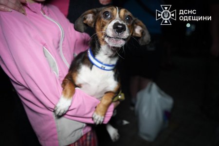 Одесу атакували ворожі ударні безпілотники. Є загибла і постраждалі (фото, відео)