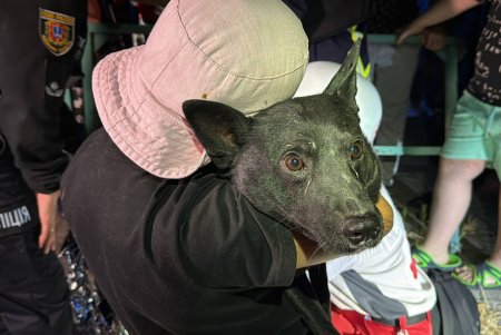 Одесу атакували ворожі ударні безпілотники. Є загибла і постраждалі (фото, відео)