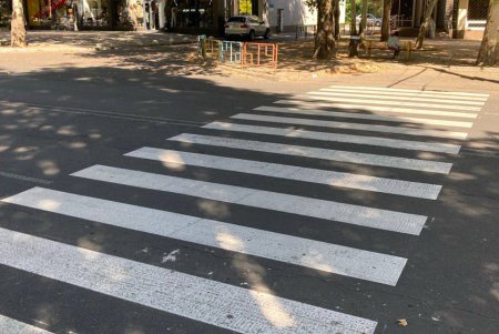 В Одесі триває відновлення дорожньої розмітки біля навчальних закладів (фото)