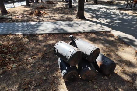 Озеленювачі відремонтували садові меблі, тренажери та гойдалку у сквері Академіка Корольова (фото)