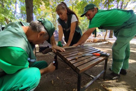 Озеленювачі відремонтували садові меблі, тренажери та гойдалку у сквері Академіка Корольова (фото)