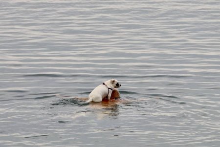 В Одесі продовжується реконструкція колектора в Аркадії (фото, відео)