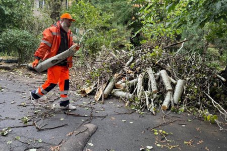 Внаслідок негоди в Одесі повалено 70 дерев і великих гілок (фото)