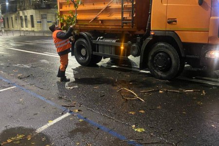 Внаслідок негоди в Одесі повалено 70 дерев і великих гілок (фото)