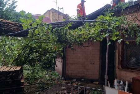 Внаслідок негоди в Одесі повалено 70 дерев і великих гілок (фото)