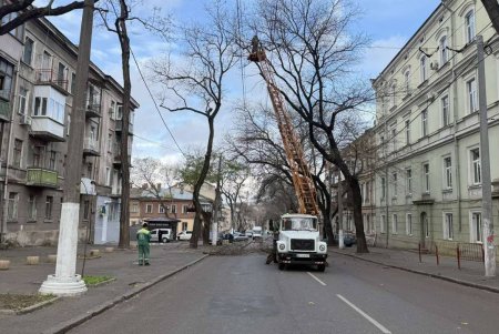 Озеленювачі проводять роботи з видалення аварійних дерев і гілок на вулиці Новосельського (фото) Озеленювачі проводять роботи з видалення аварійних дерев і гілок на вулиці Новосельського (фото)