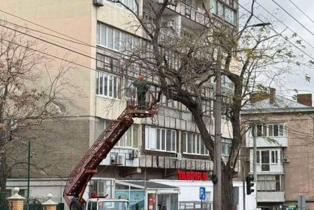 Озеленювачі проводять роботи з видалення аварійних дерев і гілок на вулиці Новосельського (фото) Озеленювачі проводять роботи з видалення аварійних дерев і гілок на вулиці Новосельського (фото)