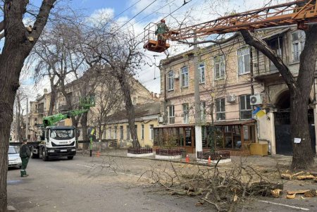 Озеленювачі проводять роботи з видалення аварійних дерев і гілок на вулиці Новосельського (фото) Озеленювачі проводять роботи з видалення аварійних дерев і гілок на вулиці Новосельського (фото)