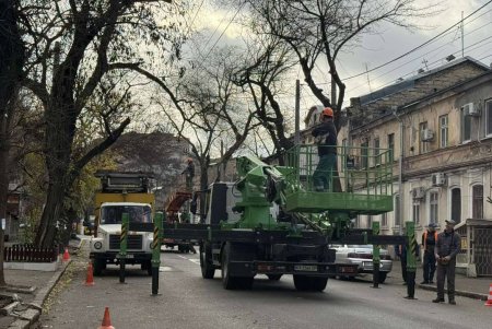 Озеленювачі проводять роботи з видалення аварійних дерев і гілок на вулиці Новосельського (фото) Озеленювачі проводять роботи з видалення аварійних дерев і гілок на вулиці Новосельського (фото)