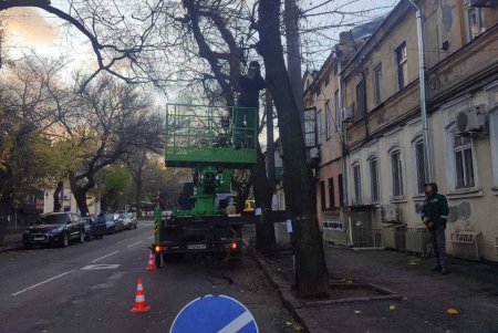 Озеленювачі проводять роботи з видалення аварійних дерев і гілок на вулиці Новосельського (фото) Озеленювачі проводять роботи з видалення аварійних дерев і гілок на вулиці Новосельського (фото)