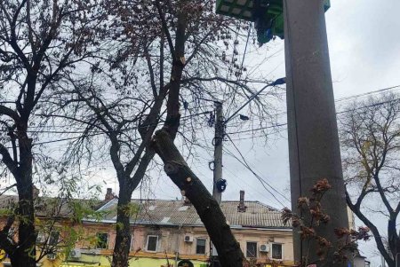 Озеленювачі проводять роботи з видалення аварійних дерев і гілок на вулиці Новосельського (фото) Озеленювачі проводять роботи з видалення аварійних дерев і гілок на вулиці Новосельського (фото)