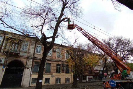 Озеленювачі проводять роботи з видалення аварійних дерев і гілок на вулиці Новосельського (фото) Озеленювачі проводять роботи з видалення аварійних дерев і гілок на вулиці Новосельського (фото)