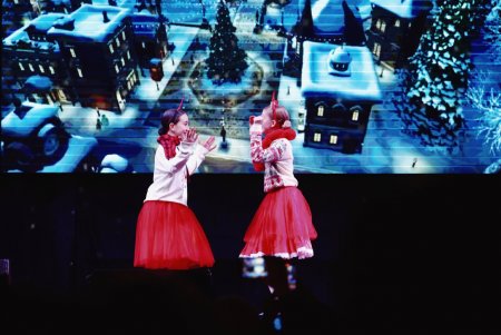 Головна ялинка засяяла в центрі Одеси (фото)