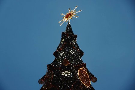 Головна ялинка засяяла в центрі Одеси (фото)