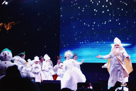 Головна ялинка засяяла в центрі Одеси (фото)