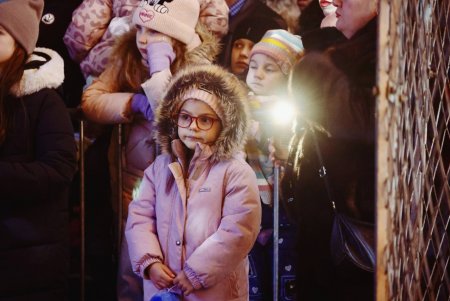 Головна ялинка засяяла в центрі Одеси (фото)