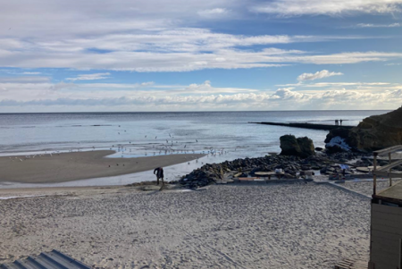 Ситуація із забрудненням узбережжя Одеси станом на 29 грудня (фото)